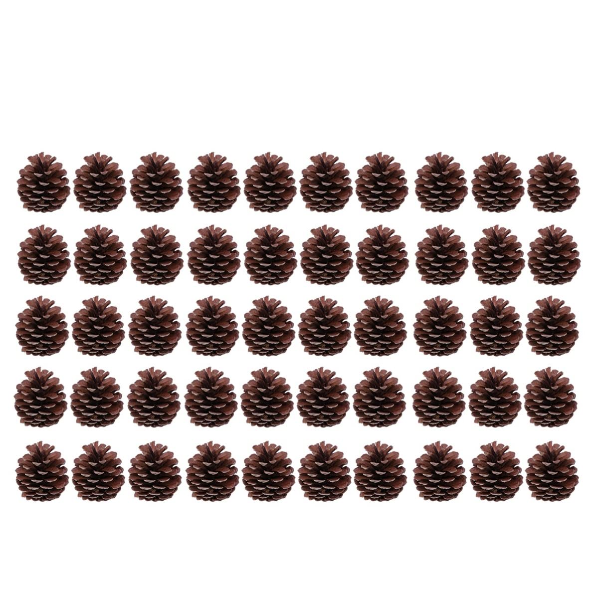 Pigne Naturali 50 Pezzi 6-8cm per Decorazioni Natalizie | Adatte per Albero di Natale e Casa, Uso Ripetuto, Atmosfera Festiva Invernale
