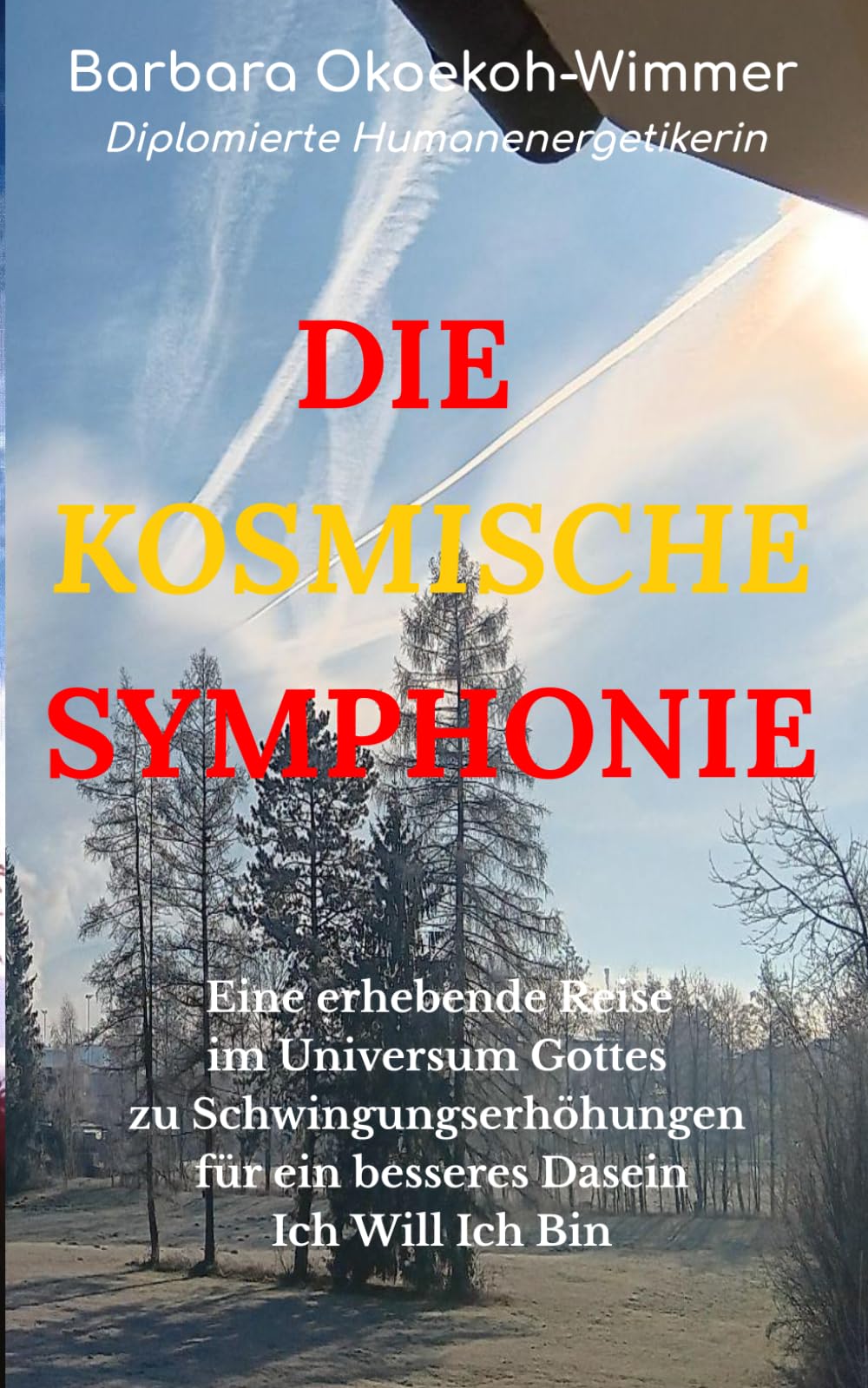 DIE KOSMISCHE SYMPHONIE: Eine erhebende Reise im Universum Gottes zu Schwingungserhöhungen für ein besseres Dasein * Ich Will Ich Bin