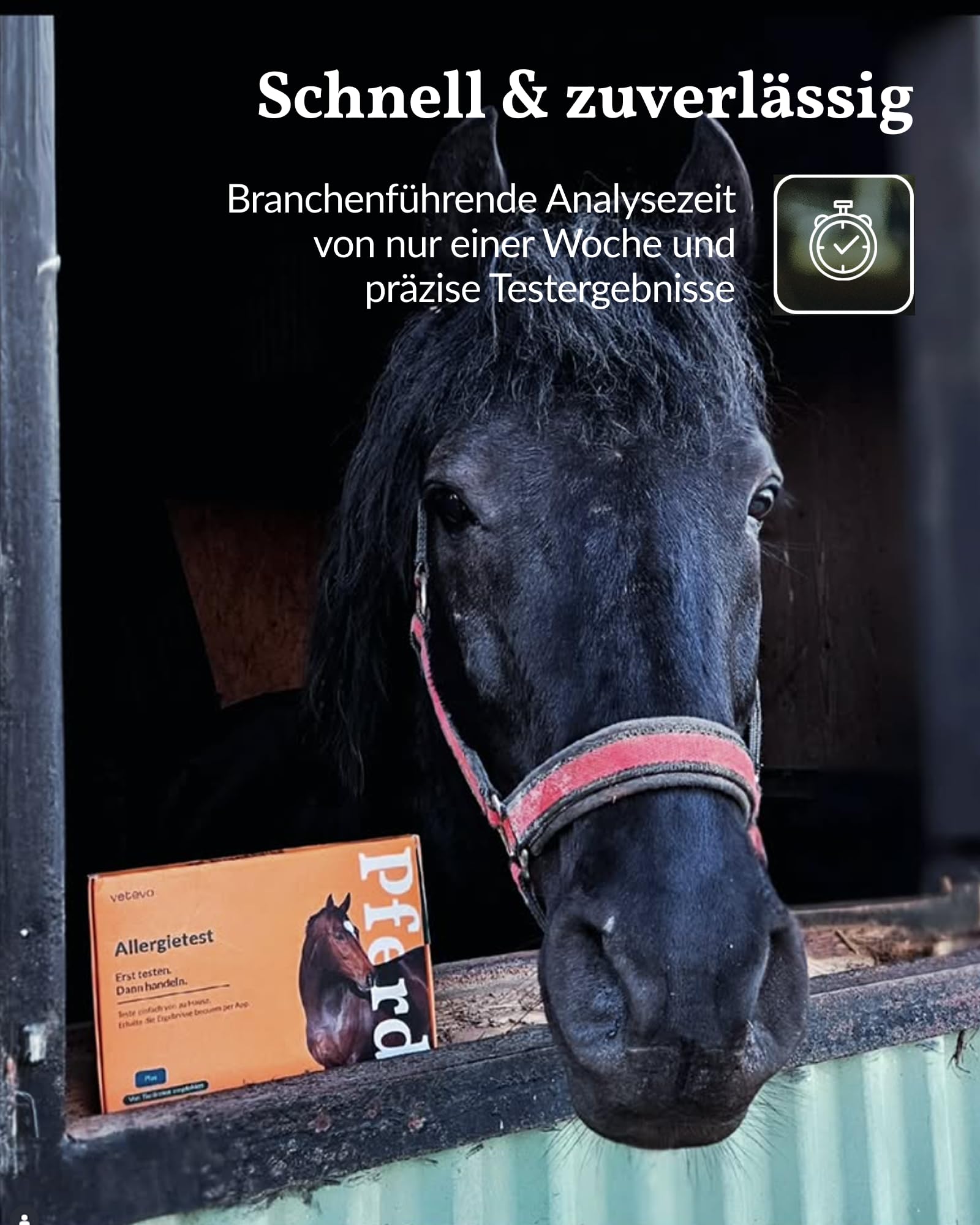 vetevo Allergietest Plus Pferd, Unverträglichkeitstest Pferd, bei tränenden Augen, Haarausfall, Husten & Atemproblemen, 290+ Unverträglichkeiten