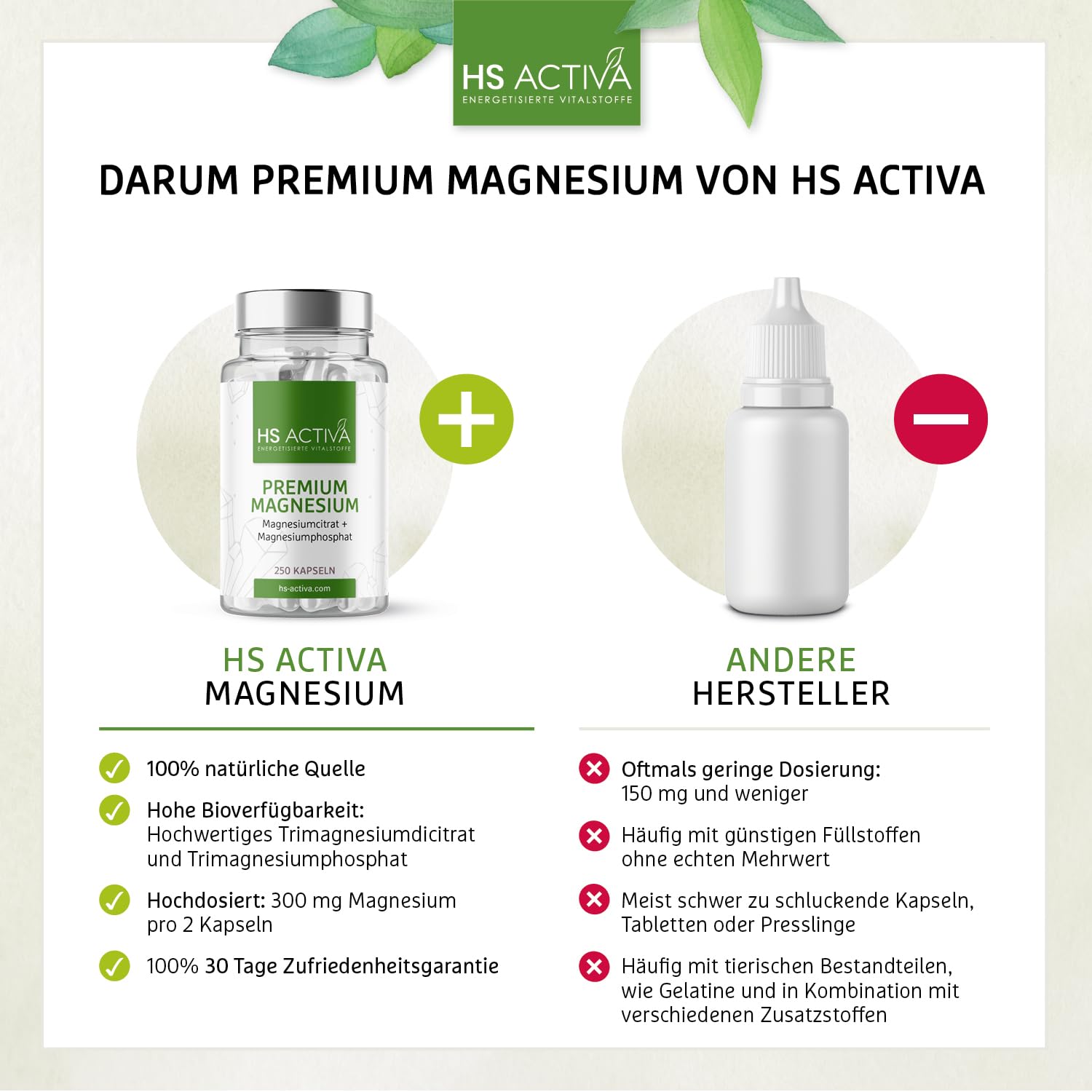 HS Activa Premium Magnesium 250 Kapseln I Magnesiumcitrat & Magnesiumohosphoricum I Keine Zusatzstoffe | Vegan & Made in Germany