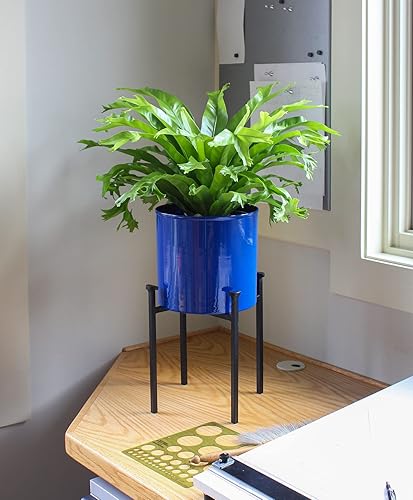 Miniatura 3 de Achla Designs Maceta Eileen con cuenco azul francés