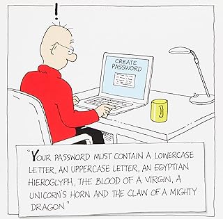 Emotional Rescue Funny Birthday Card for Him, Birthday Card Male Funny, Happy Birthday Card for Him, Birthday Card Him Funny, Funny Birthday Card for Men, Multi, NL1907