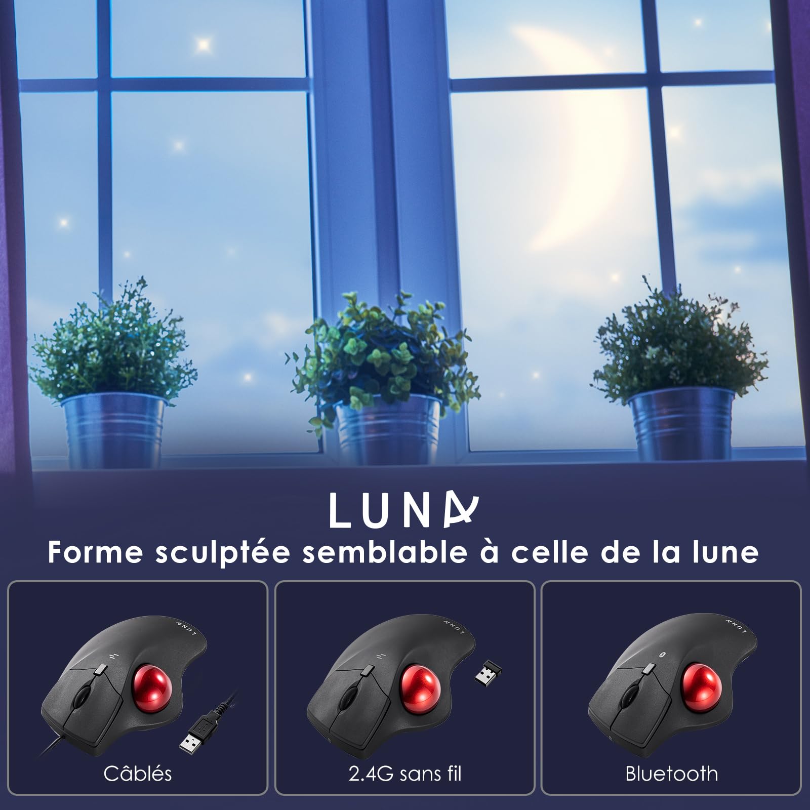 SANWA Souris Trackball Filaire, Boutons Silencieux Programmables, Contrôle du Pouce, 600/800/1200/1600 DPI, Suivi précis et Fluide, Compatible avec Mac, Laptop, Ordinateur, Windows, Noir