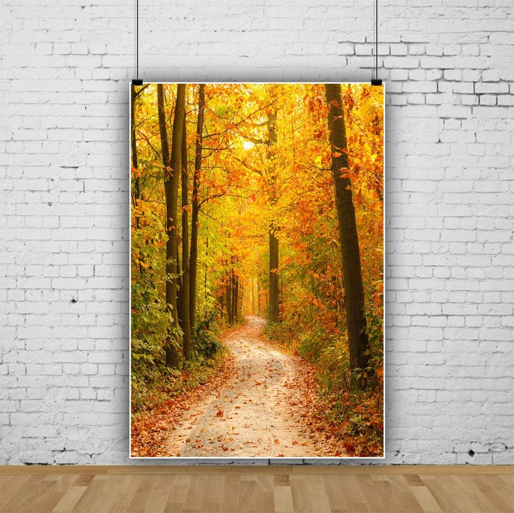 Top Brands AOFOTO 8x10ft Fall Forest Path Photography Studio Backdrop Autumn Park Scenic Background Woods Fallen Leaves Adult Kid Girl Boy Lovers Man Artistic Portrait Travel Photoshoot Props Video Drape Vinyl