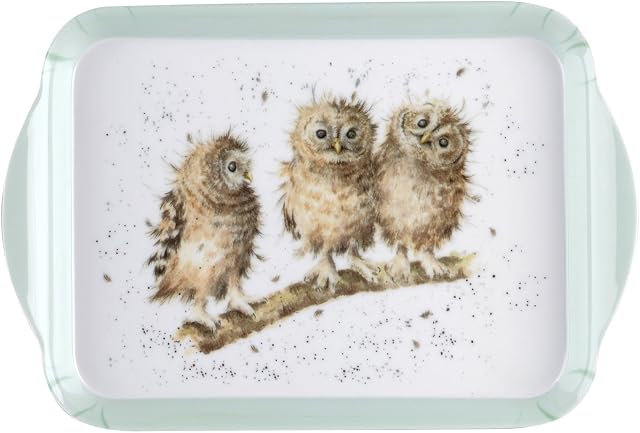 Wrendale Designs - 'Owl' Scatter Tray
