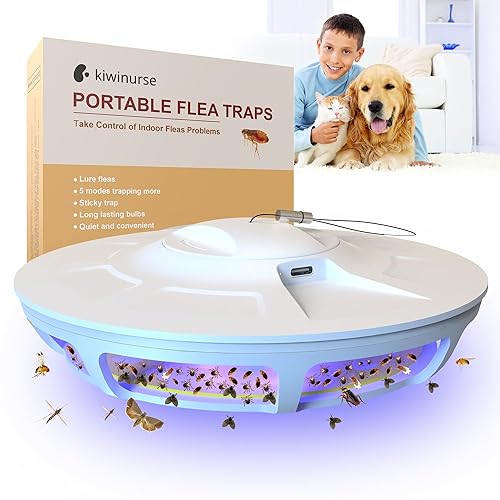 Flea Traps for Inside Your Home - Indoor Flying Traps