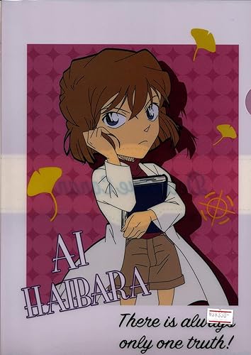 Amazon クリアファイル 名探偵コナン ポラロイド 灰原哀 アニメ 萌えグッズ 通販