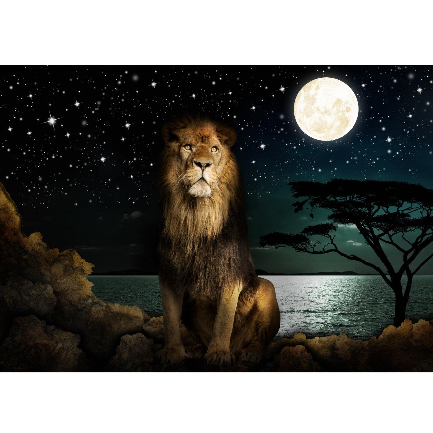 Tapisserie photo lion Afrique intissé XXL décoration murale salon