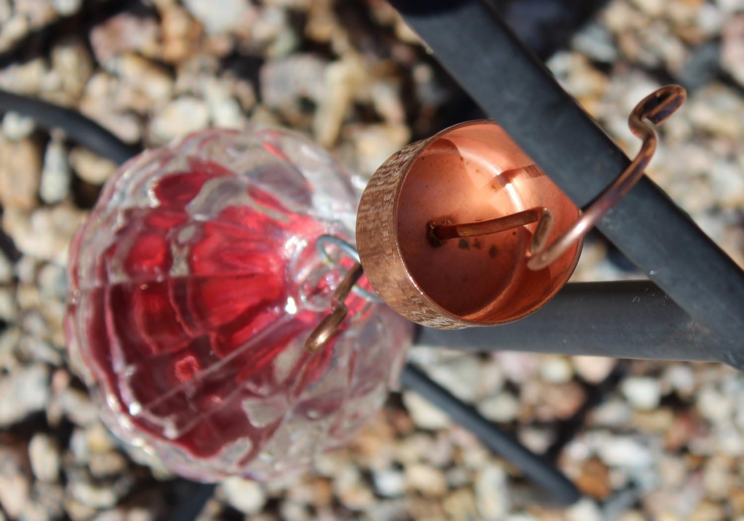 Moat with Guard for Hummingbird Feeders - Gets Rid of Ants Fast in Nectar Feeder. All Natural & No Chemicals Needed.