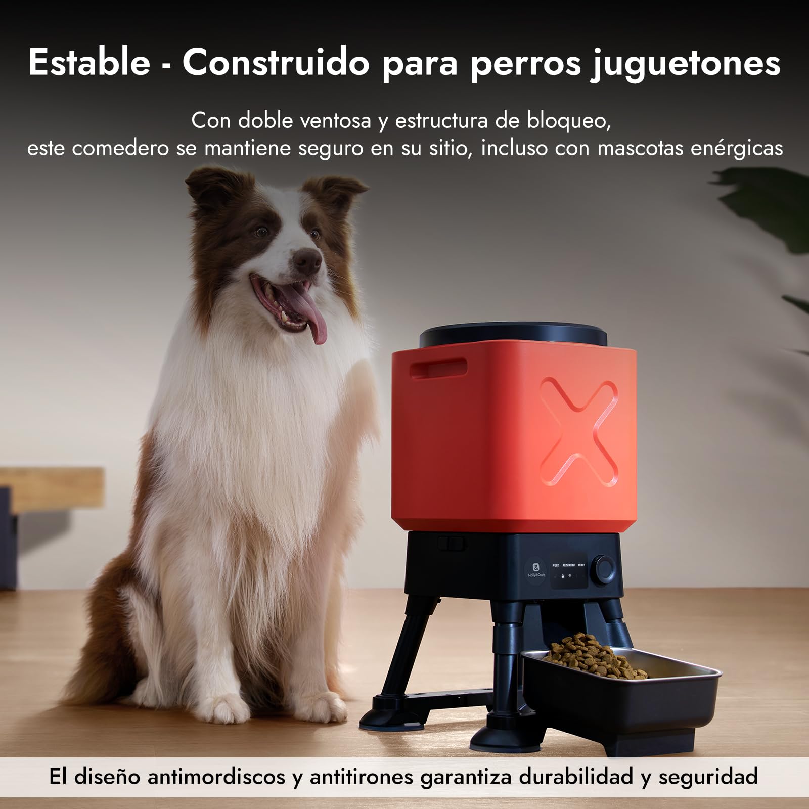 Molly&Cody Comedero Automático para Mascotas, 14 litros de Capacidad, Apto para Perros Grandes, Volumen de Alimentación Ajustable, Fácil Manejo, con Bol de Acero Inoxidable