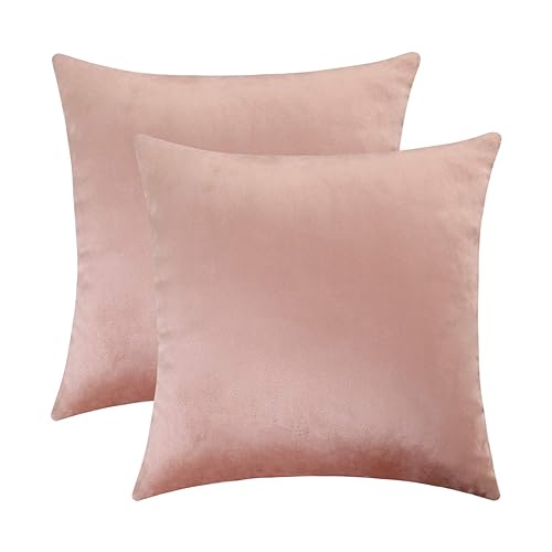 Jeneoo Set of 2 Comfy Soft Thick Velvet Throw Pillow