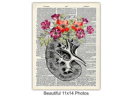 Miniatura 5 de Heart, Skull, Brain, Lungs, Kidney, Liver Wall Art Decor - Human Anatomy Room Decorations - Medical Office Decor - Shabby Chic Gift for for Doctor,
