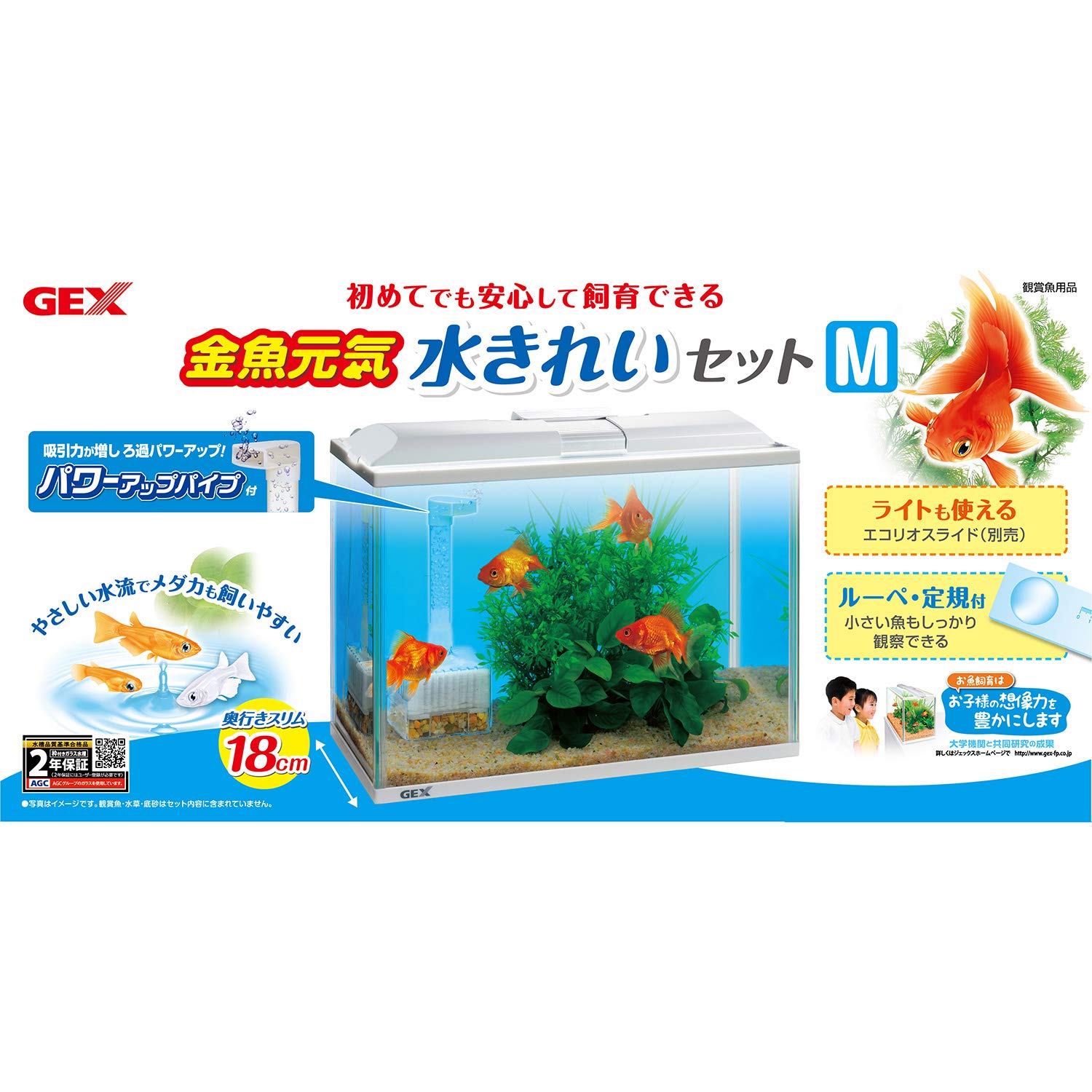 Amazon | ジェックス 金魚元気 水きれいセットM | ジェックス | 飼育