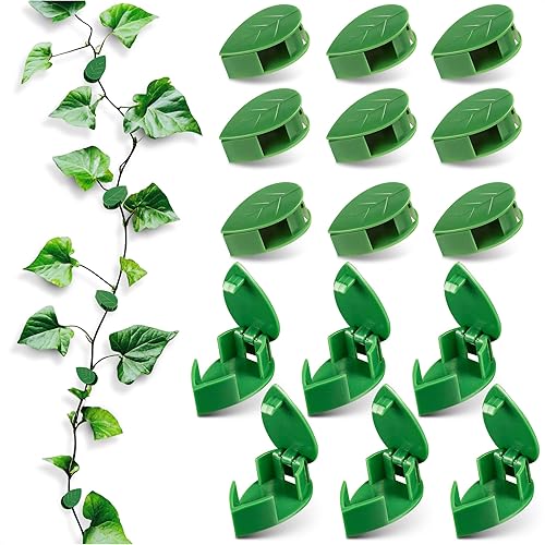 Miniatura 11 de Dimrom Paquete de 2 postes de musgo para monstera, 20 pulgadas, 12 pulgadas, con lazos de jardín de 67 pulgadas, postes para plantas trepadoras