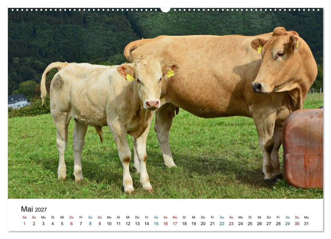 CALVENDO · Dedenborn in der Nordeifel (Kalender 2027) | DIN A2 Querformat · Wandkalender · Leben, wo andere Urlaub machen