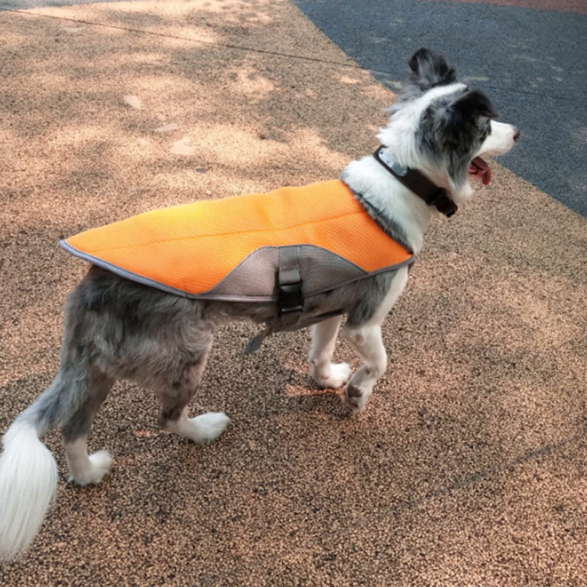 Kisangel Gilet Rafraîchissant pour Chien Respirant Et Confortable Manteau Rafraîchissant pour Chiot Orange
