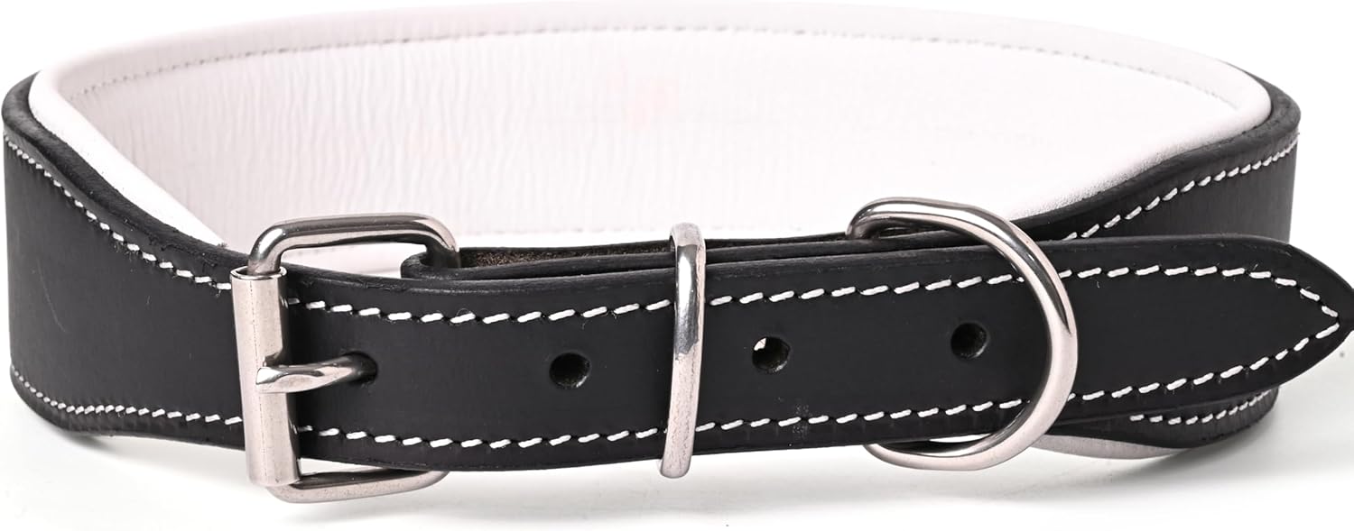 TARICO Adjustable Leather Dog Collar for All Breeds, Heavy Duty Padded Pet Collar with Durable Metal Buckle - Black & White (Small (Fits 17–19" Necks))