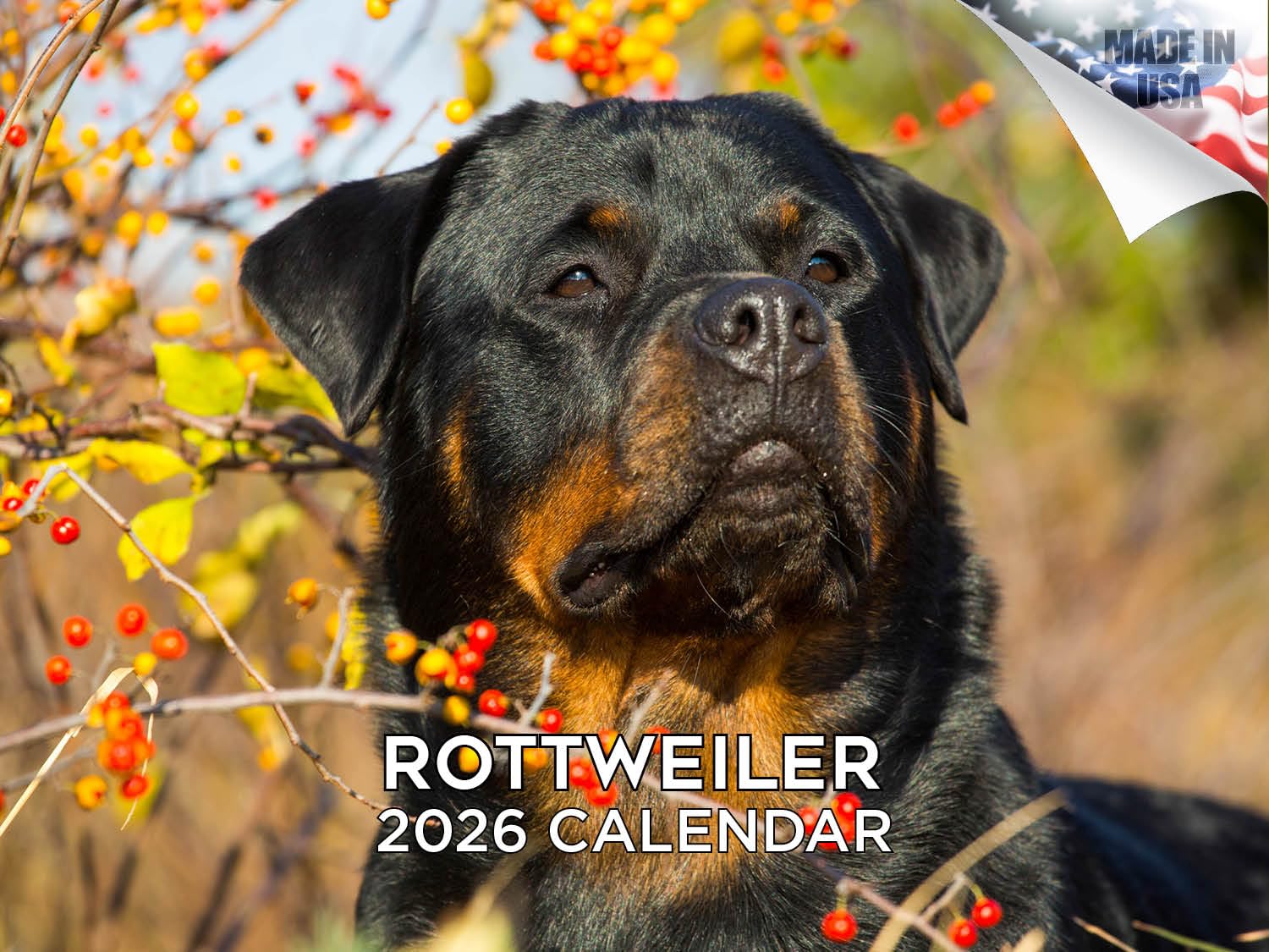 Kalendarz rottweiler 2024 2025 - miesięczny kalendarz ścienny rasy psów - 30 x 45 cm otwarty - gruby papier bez przebarwień - prezent - akademicki planer nauczyciela kalendarz organizowanie i
