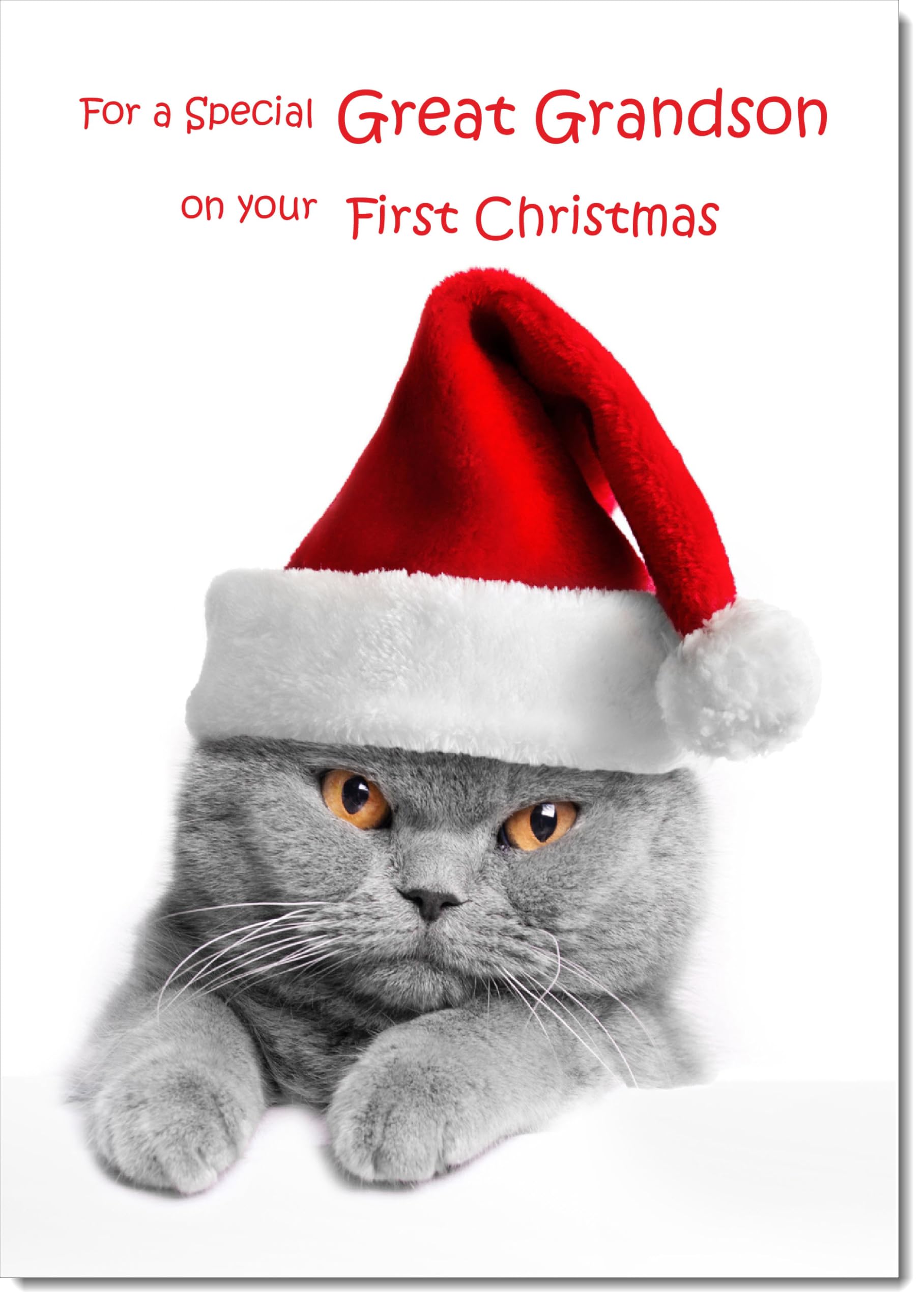 doodlecards Great Grandsons 1st First Christmas Card Grey Cat with Santa Hat Large A4 Size Christmas Card for Great Grandsons 1st with Plain Envelope โ image 1