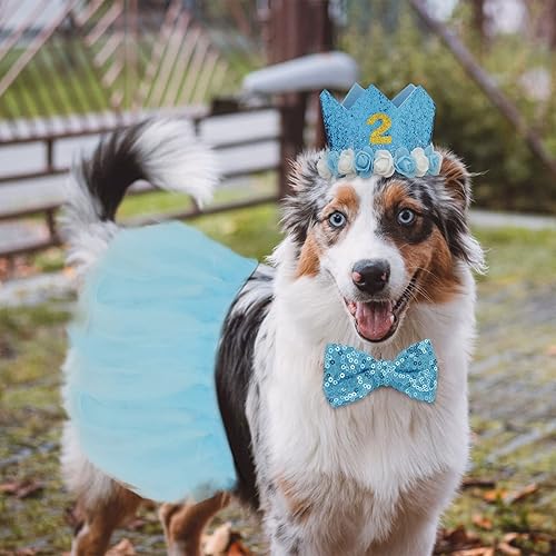 Miniatura 4 de Suministros para fiesta de cumpleaños para perros, sombrero de cumpleaños para perros + pajarita + bandanas para perro + pancarta de feliz