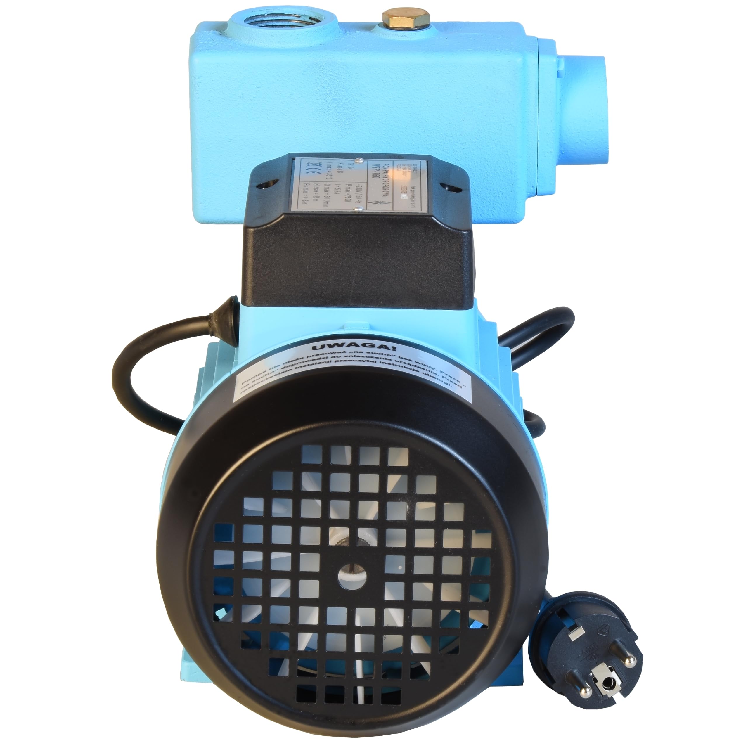 Pompa dell'acqua WZP 750 (750 W, 3000 l/h, altezza di mandata 55 m) - per acqua pulita - pompa da giardino, per irrigazione, dell'acqua piovana