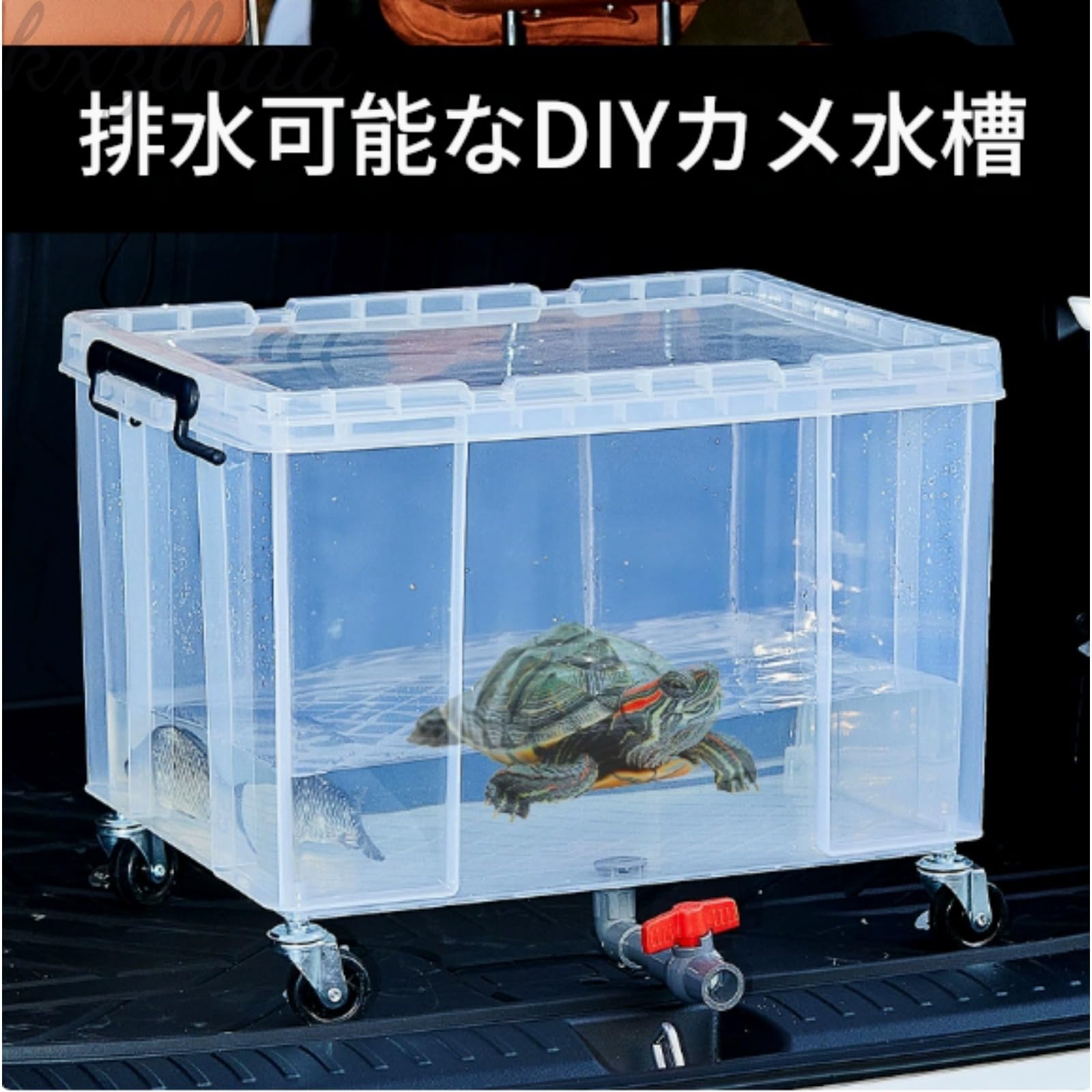 ハコガメ　カメ専用飼育ケース　4個セット　中サイズ ハコガメ カメ専用飼育ケース 4個セット 中サイズ ハコガメ カメ専用