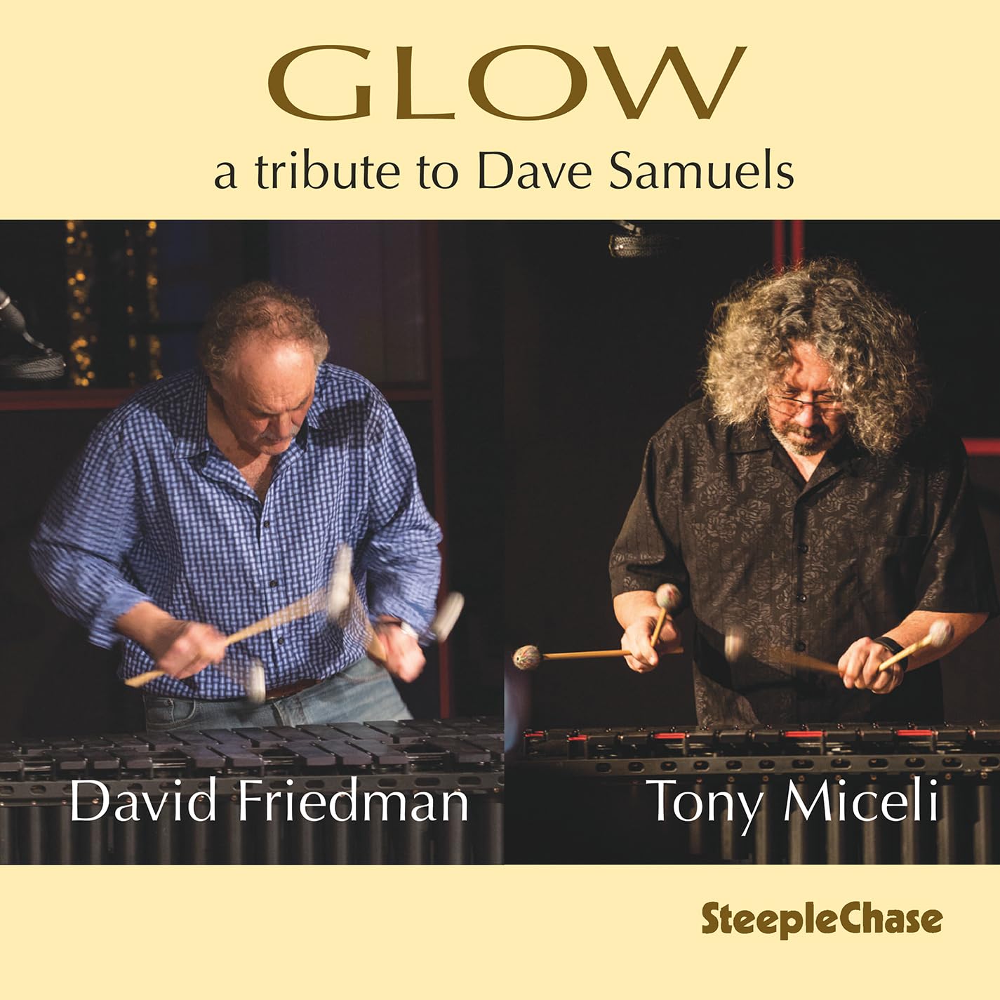 David Friedman; Tony Miceli Glow CD NEW