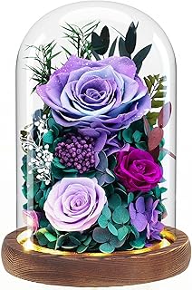 Dsuto Forever Fresh Flowers Bouquet in Glass Dome with Light, Preserved Purple Roses Gifts for Women on Birthdays, Anniversaries, Christmas, Valentine’s Day & Mother’s Day
