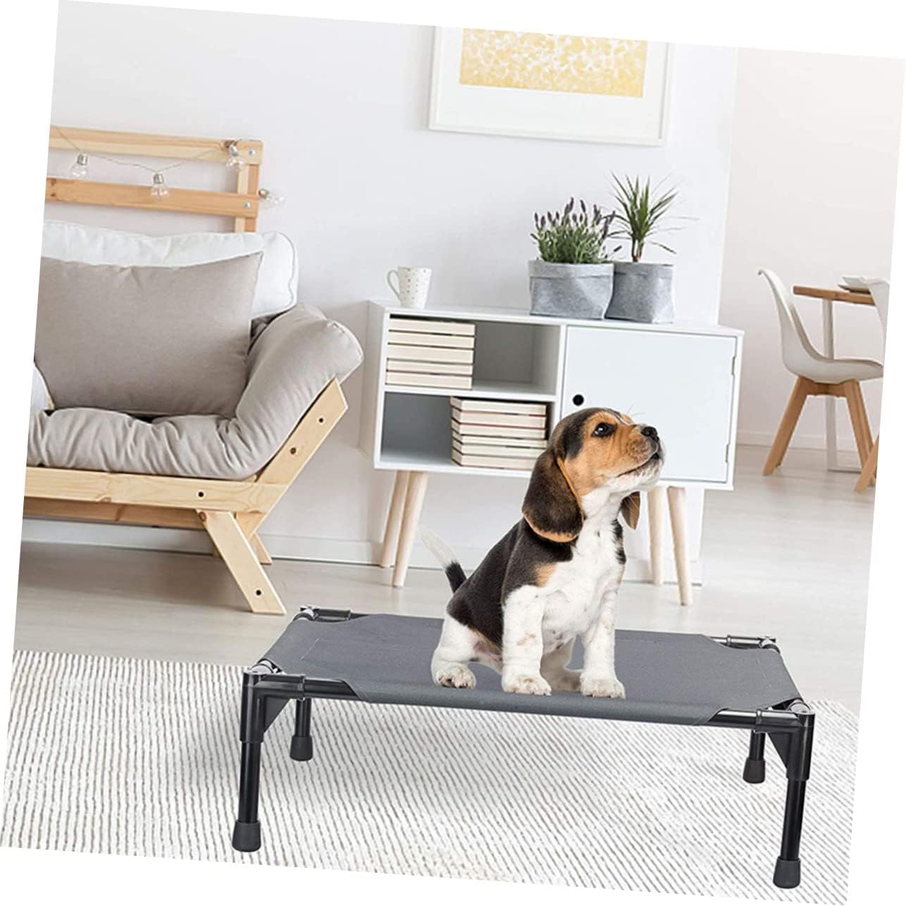 Elevated Dog Bed for Dogs Washable Raised Pet Cot Home Outdoor Sleep Nest