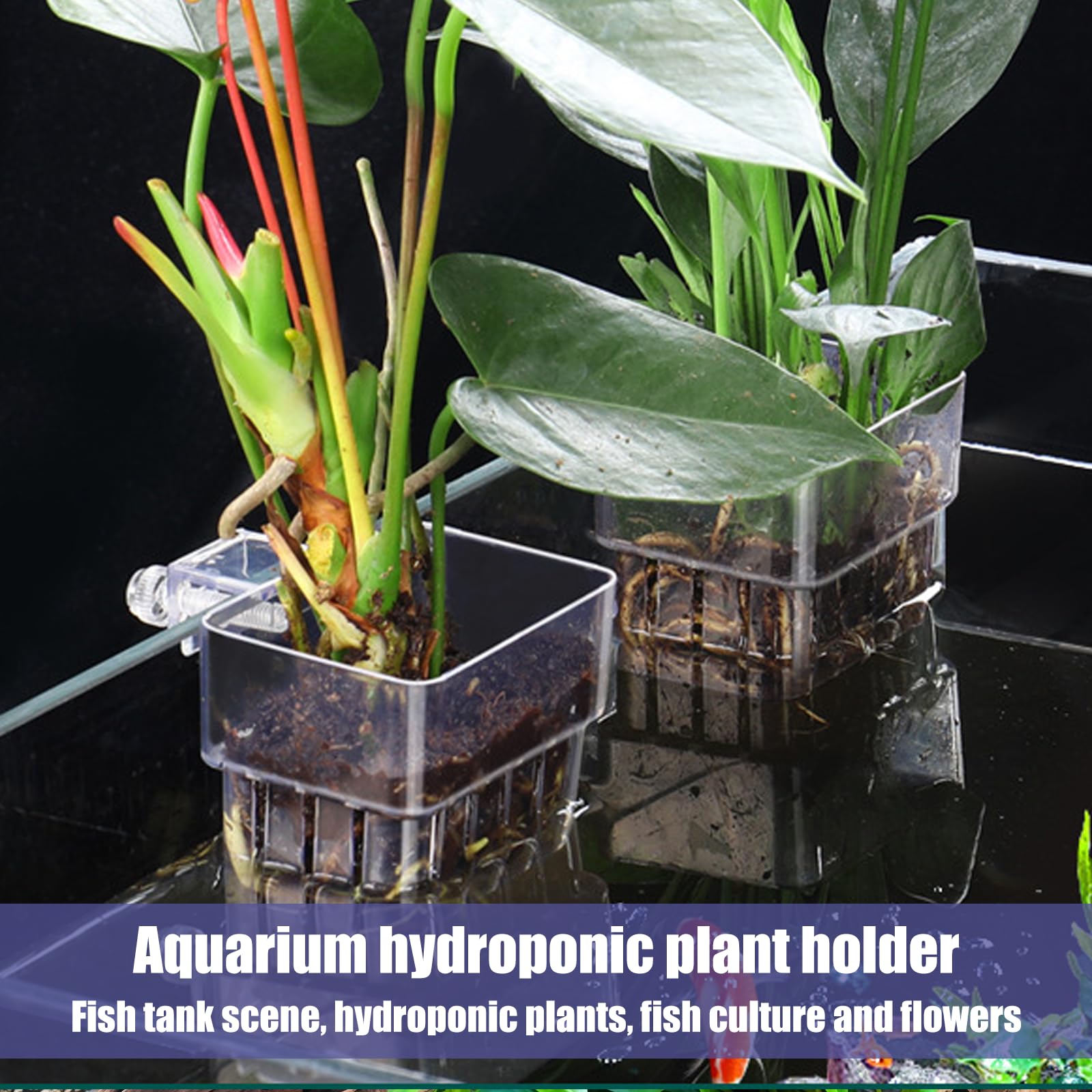 GOMETY 6 Stück Aquarium Pflanzenhalter, Hängend Pflanztopf Aquarium Acryl Transparent Cup Pflanzkorb Pflanzenständer für Aquarien für Fisch Tank Aquaponic Pflanzenkultur, Aquascape Dekorationen