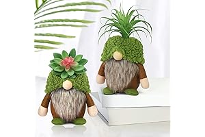 Upeltote Succulent Gnomes for Spring Decor