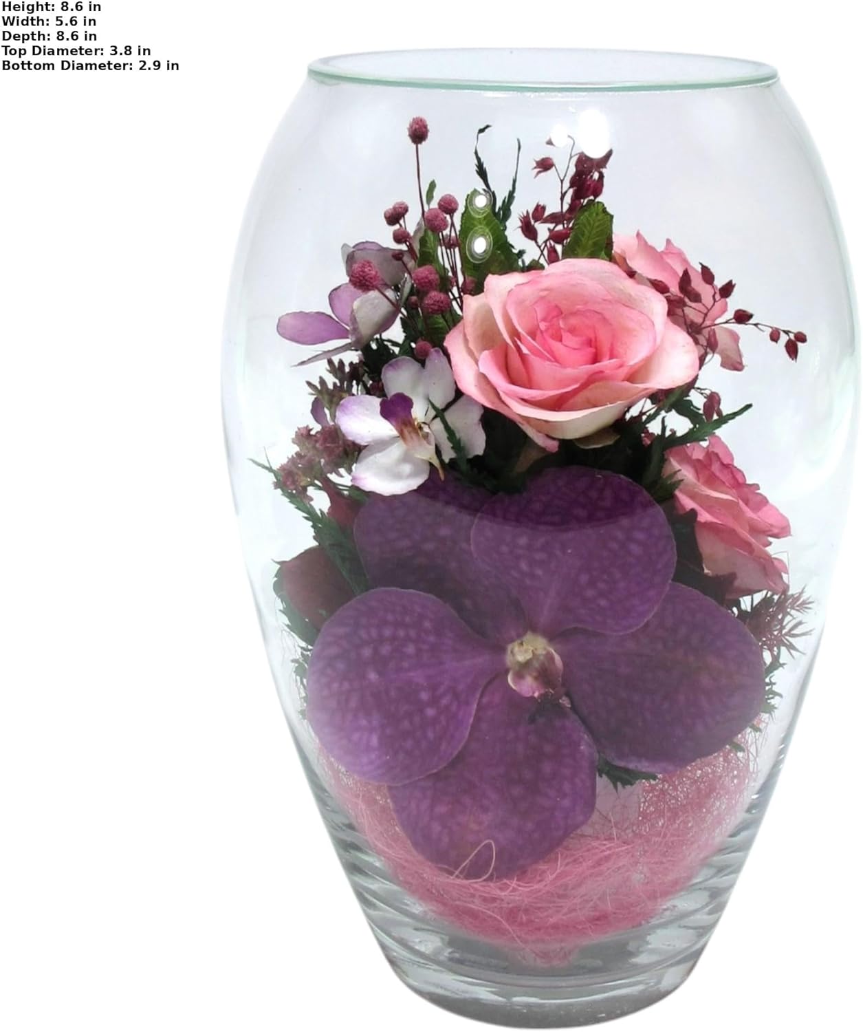Fiora Flower | Premium Preserved Roses in Glass Vase | Lasts 5 Years | Long-Lasting Real Roses for Christmas, Weddings, Birthdays