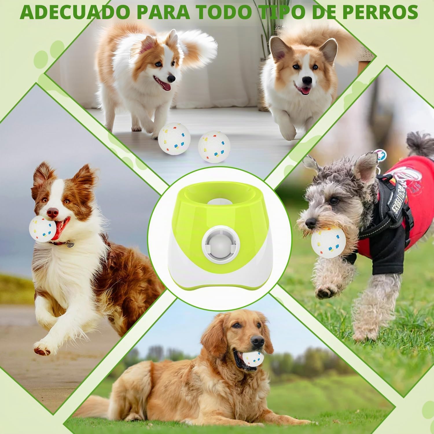 Máquina lanzadora de pelotas para perros, lanzador automático de pelotas con 3 distancias de lanzamiento de 6 a 14 m, juguete interactivo para perros pequeños, interior y exterior, con 3 mini