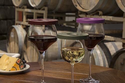 Miniatura 9 de Cubiertas de vidrio para beber tapa de vino, mantener a los insectos alejados de las copas de vino al aire libre  Uso como cubierta para tazas de