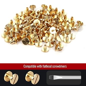 Chicago Binding Screws - 4 mm x 4 mm Binding Post - 10 mm Phillips Nut - Chicago Screw Binding Post Set for DIY Leather Decorations, Scrapbooking, Photo Albums, Bookbinding (Brass, 25 Pieces)