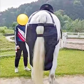 Large Medium Mini Horse Manure Bag, Horse Diaper Manure Catcher Bags Easy to Clean, Outdoor Lawn Driving Horse Equine Manure Bag(S)