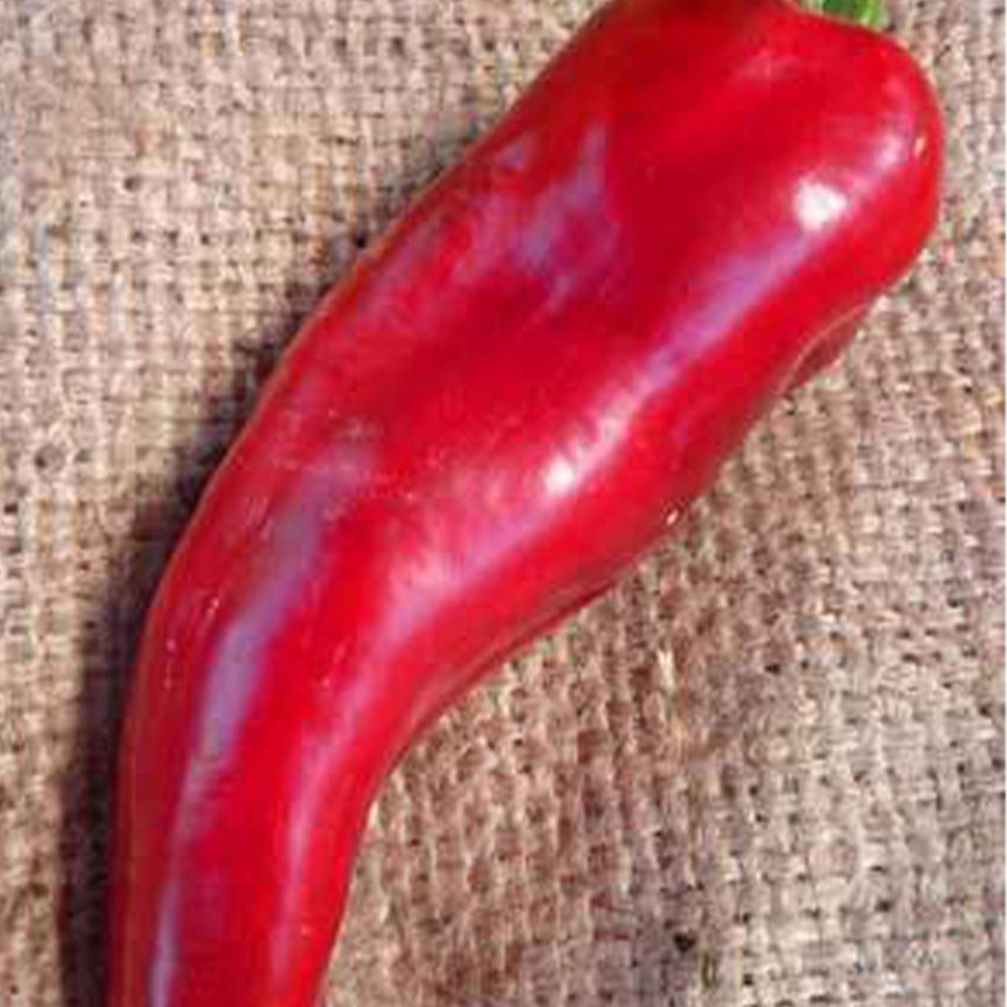 Marconi Red Sweet Pepper Seeds - 250 mg ~30 Seeds - Heirloom, Open Pollinated, Non-GMO, Farm & Vegetable Gardening Seeds