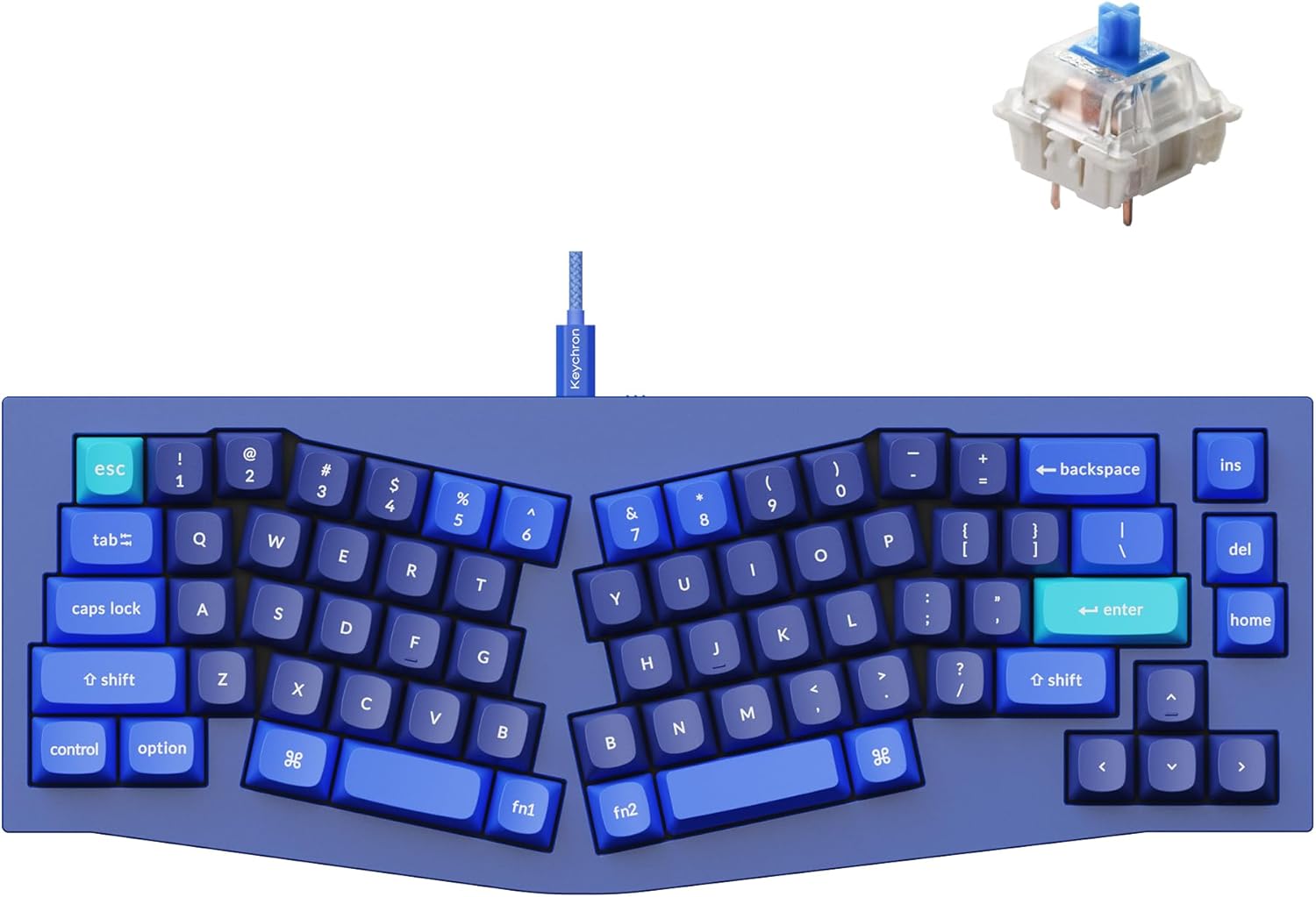 Keychron Q8 Wired Custom Mechanical Keyboard, 65% Alice Layout QMK/VIA Programmable with Hot-swappable Gateron G Pro Blue Switch Double Gasket Compatible with Mac Windows Linux (Blue)