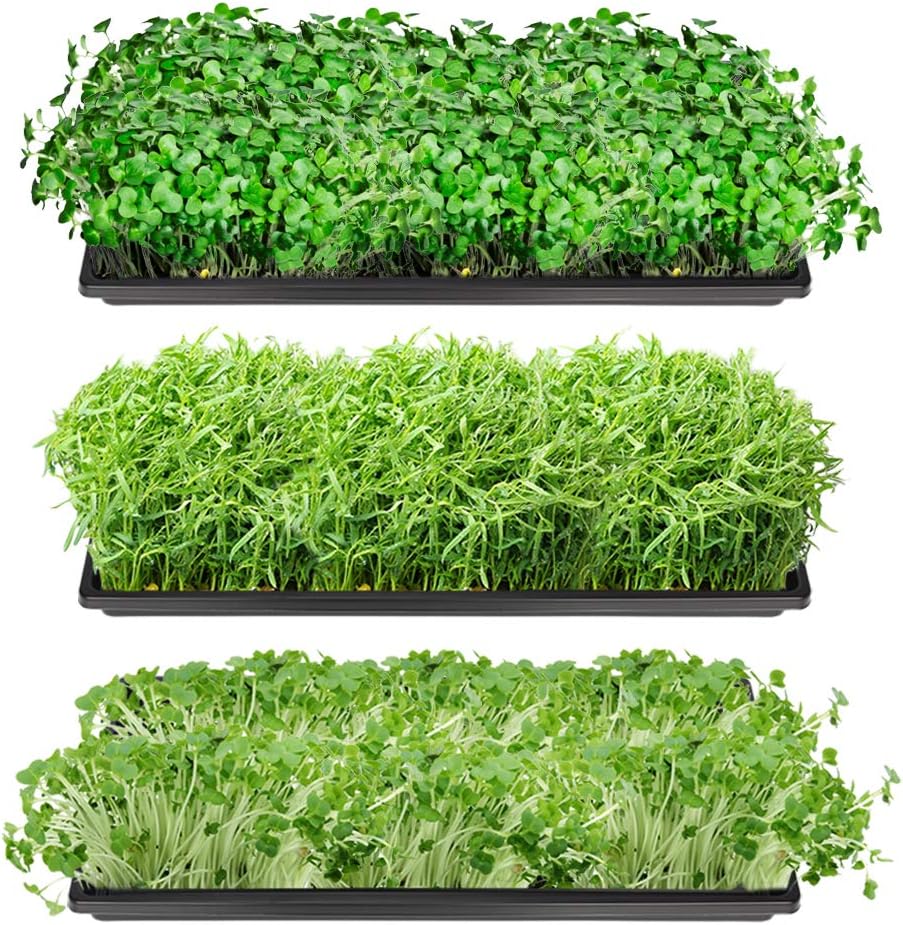 J&D 5 Packs Trays, 10 x 20 Inches Propagation Starter Seedling Tray 1020 Plant Growing Trays Without Drain Holes for Plant Germination Microgreens Hydroponic Application, No Holes : Patio, Lawn & Garden