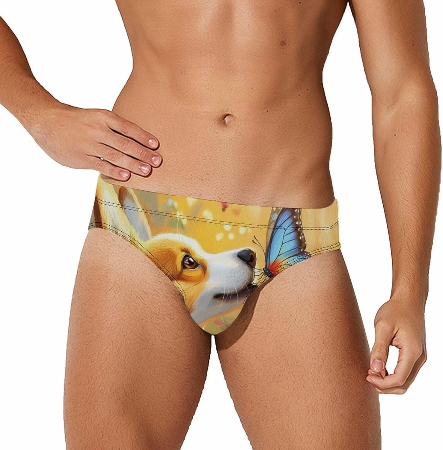 Floral Corgi Butterfly Men's Swimsuit Brief Sexy Bikini Briefs Retro Printed Swimwear Quick Dry Swimming Trunks 3X-Large