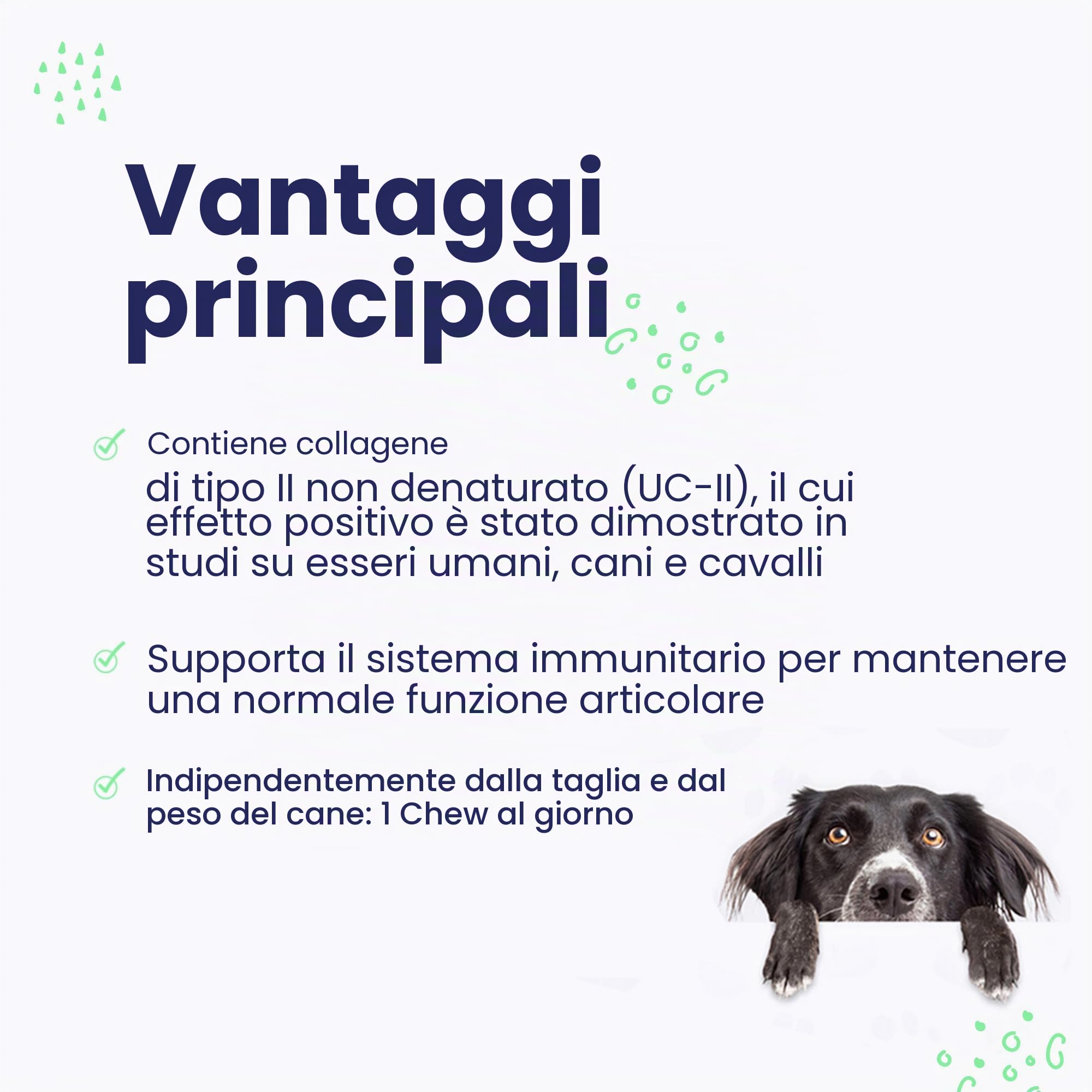 Flexadin Advanced per cani | Confezione doppia | 2 x 60 Chews | Mangime complementare per sostenere la salute delle articolazioni | Con collagene immunoattivo, omega-3 e vitamina E
