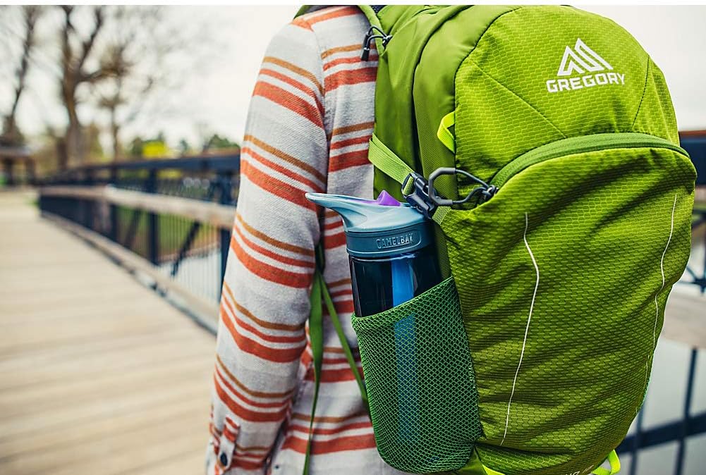 gregory nano 18l backpack