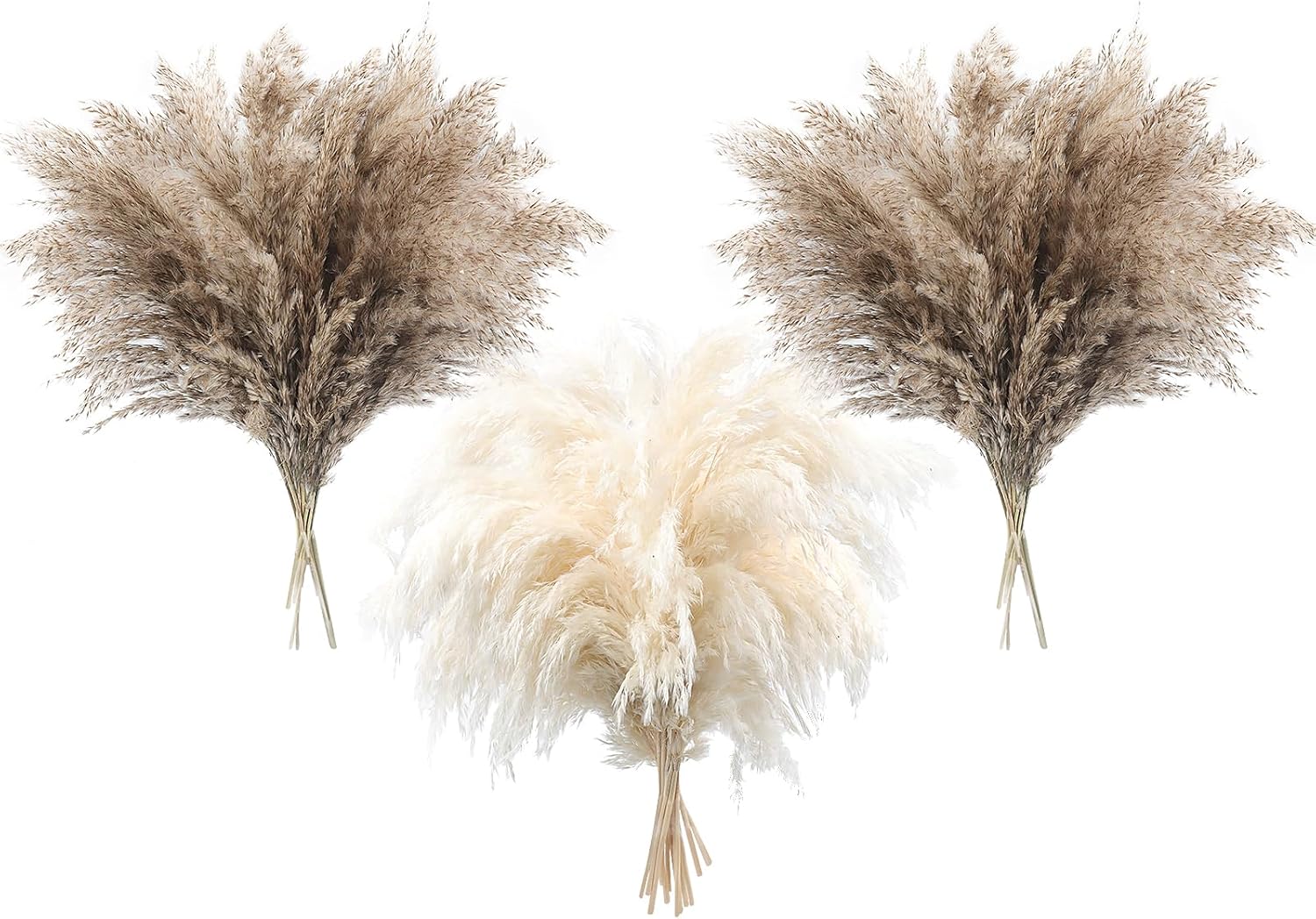 36 Pieces Pampas Grass Bohemian Decoration Fluffy Pampas Grass Dried Natural Suitable for Home Decoration Bohemian Wedding Table Decoration 24 Natural Colours + 12 White