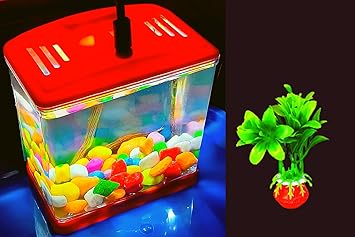 Anand Enterprise Betta Fighter Fish Tank Mini House with Light Aquarium Bowl Medium Double Size Cube with Free Decorative Items