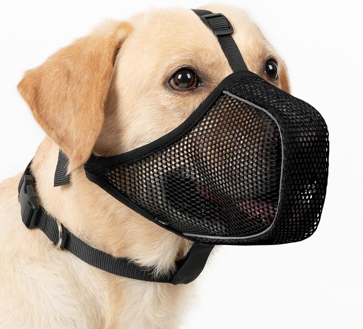 Dog Muzzle, Patented Mesh Soft Muzzles for Medium Dogs Scavenging | Breathable Mussel for Biting Chewing Licking, For Walking Training Grooming, Reflective, Adjustable, with Collar | Black, M