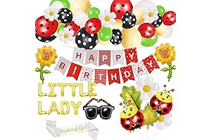 Ladybug Birthday Party Decorations, Ladybug Birthday Party Supplies, Lady Bug Birthday Party Favors