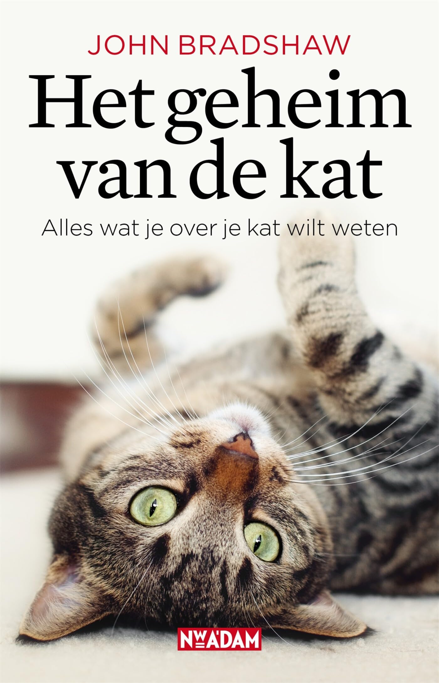 Het geheim van de kat: alles wat je over je kat wilt weten