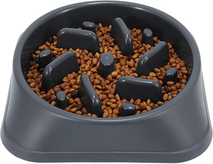 JASGOOD Slow Feeder Dog Bowls Slow Eating Pet Bowl Eco
