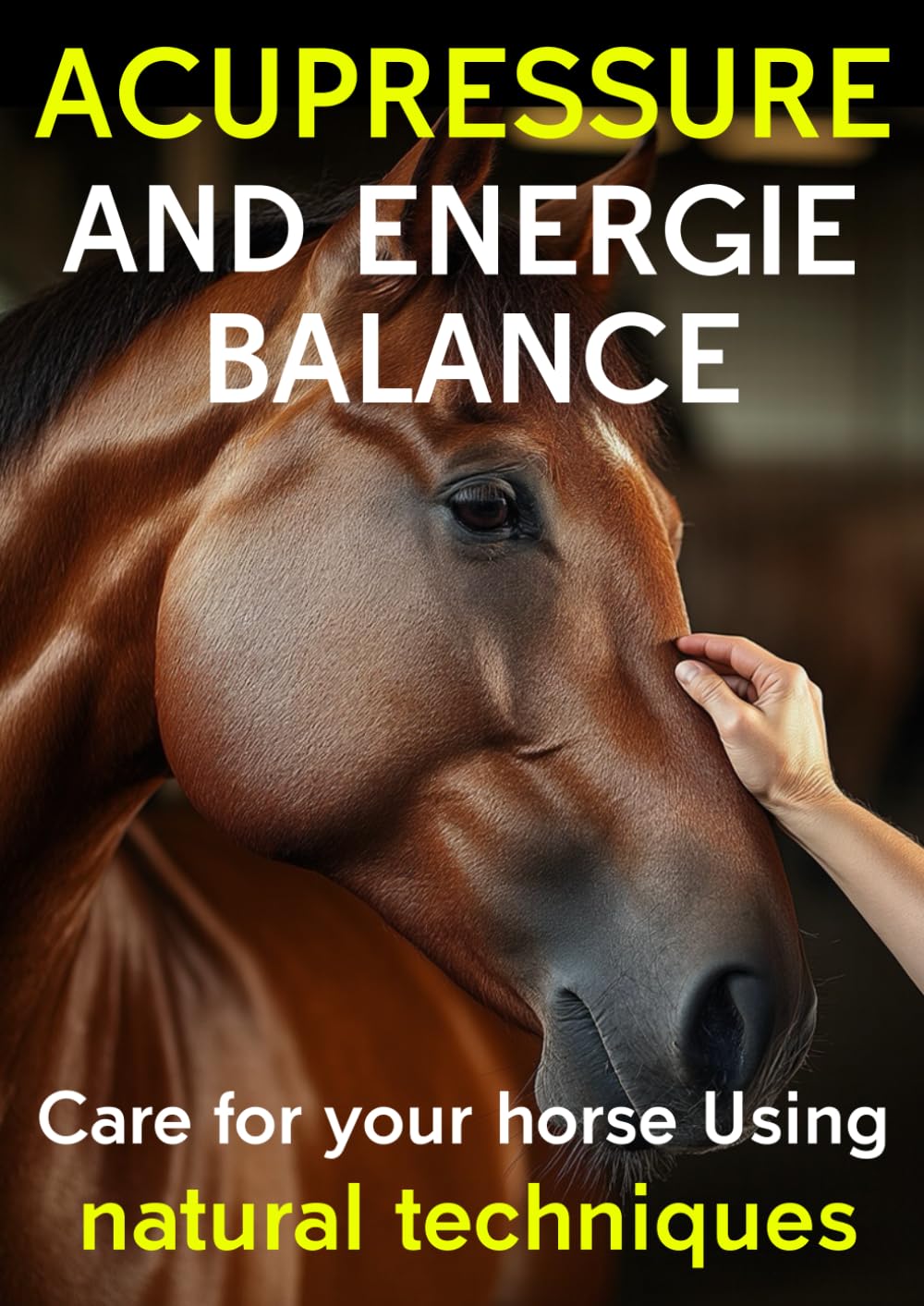 Acupressure and the Horse's Energy Balance: Care for your horse using natural techniques, équine shiatsu and acupressure guide for communication, ... for equine care, training and balance