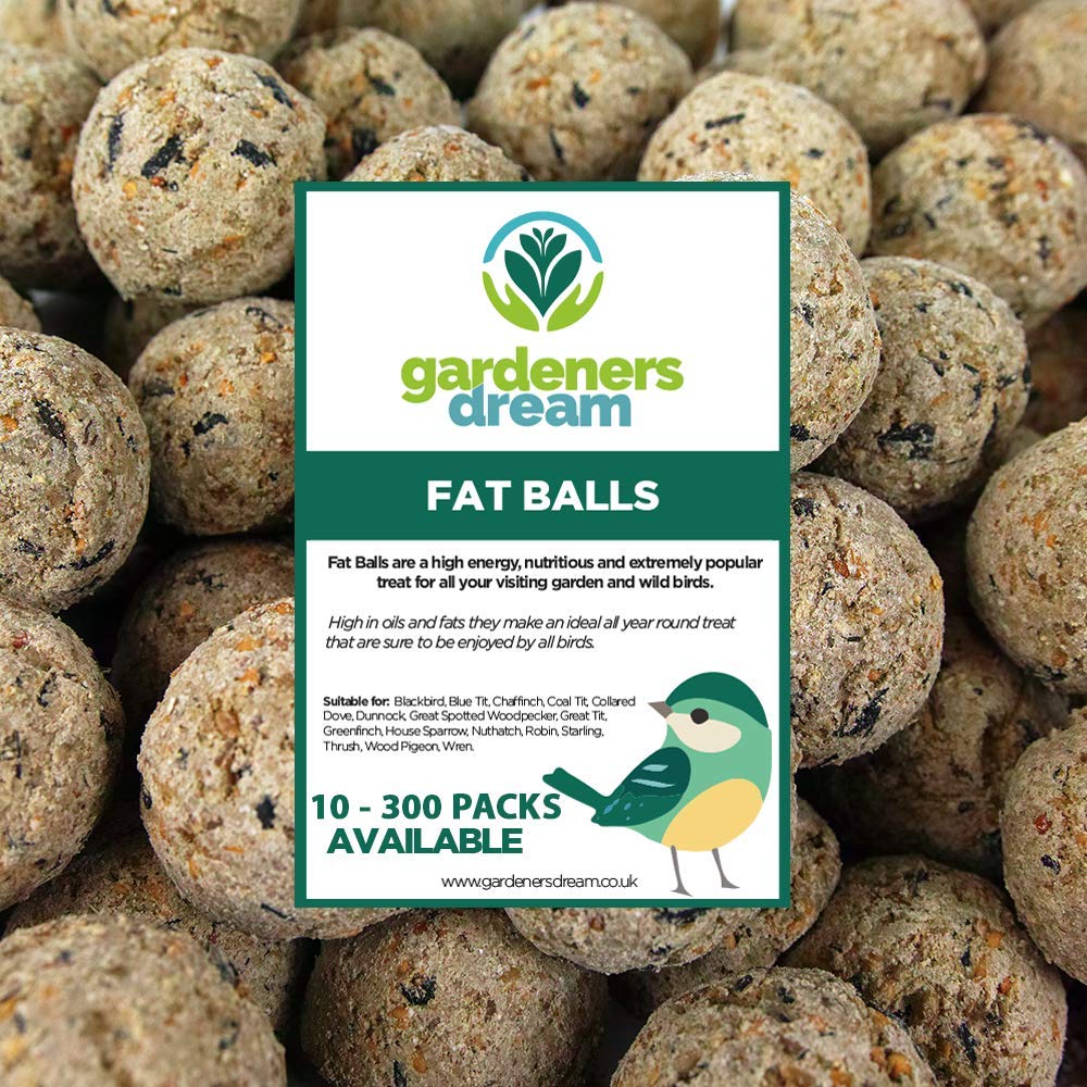 Buy GardenersDream Suet Fat Balls Premium Garden Wild Bird Food